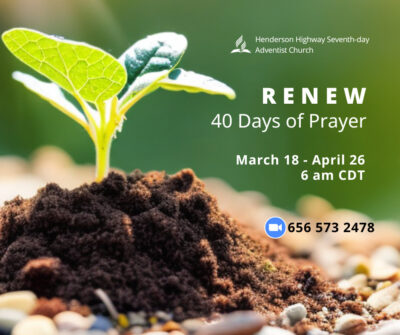 Featured image for “RENEW”